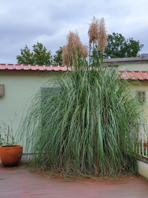 Arthotel BRE 外观 照片